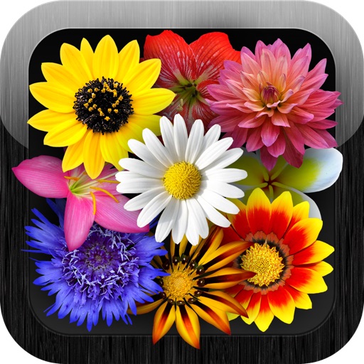 Pi Puzzle Flowers icon