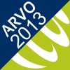 ARVO 2013