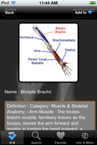 VISUAL: Muscle & Skeletal Anatomy screenshot 3