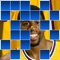 Guess The Real Basketball Players - Reveal Edition - Free Version