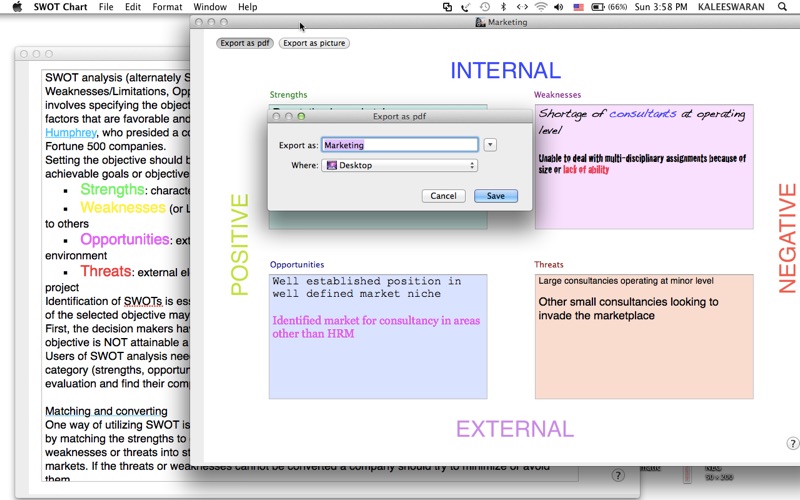 SWOT Chart thumbnail 4