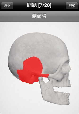 basic anatomy for all [bones] lite screenshot 2