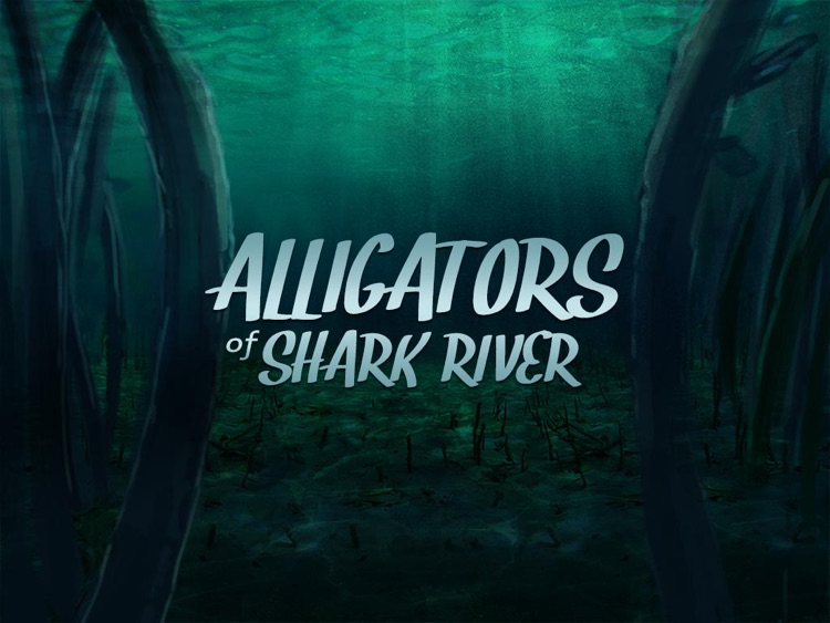 Alligators of Shark River