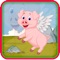 Flying Pig Tap Adventure - Tap Hunt Game HD