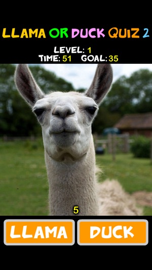 Llama or Duck Quiz 2