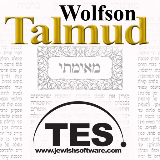 Wolfson Talmud - Eruvin icon