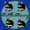 rabbit memory