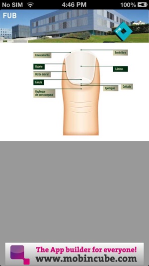 Anatomía y patología ungueal(圖3)-速報App