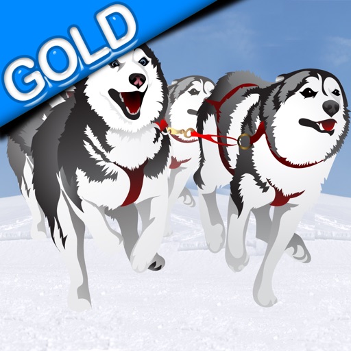 Dog Sledding Winter Race : The canine cold ice sled in the north pole - Gold Edition icon
