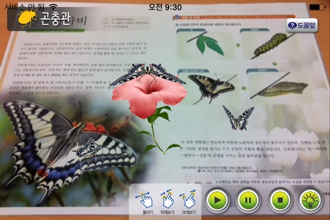 AR 곤충관 - 알짬교육 자연사 박물관 시리즈 screenshot 2