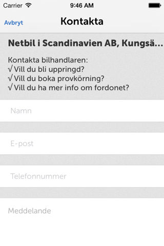 Netbil i Scandinavien screenshot 2