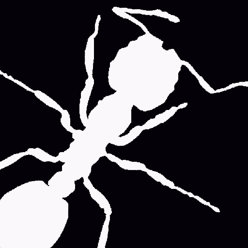 Angry Ants iOS App