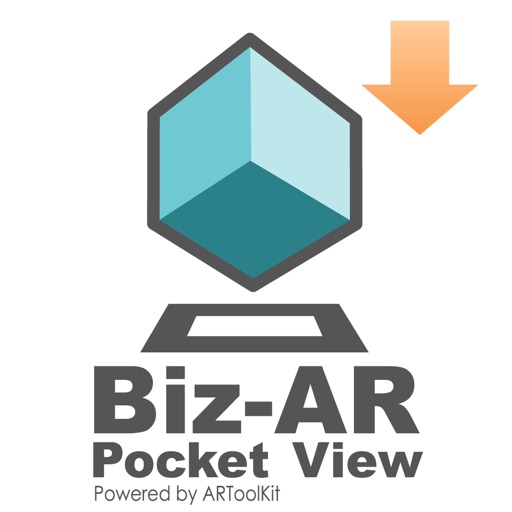 Biz-AR Pocket View