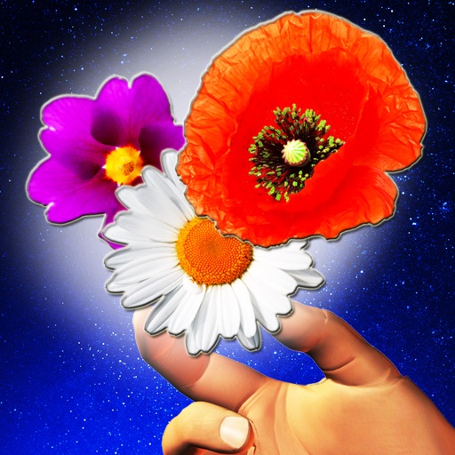 Flower Draw - Art of Drawing with Color Flowers icon