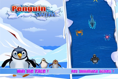 Penguin Fun Surf & Swim FREE screenshot 2