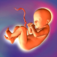 Kontakt Baby Pregnancy Tracker (Lite)
