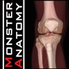 Monster Anatomy - Lower Limb