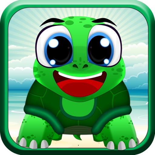 Adventure Of Flip The Turtle iOS App