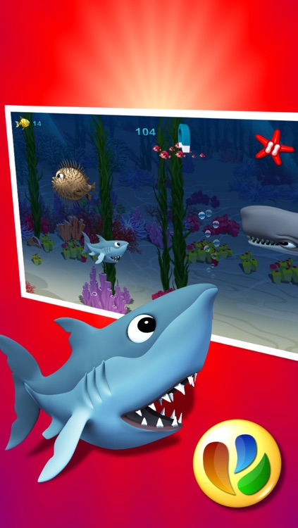 Funny Shark Game