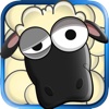 The Leader Sheep