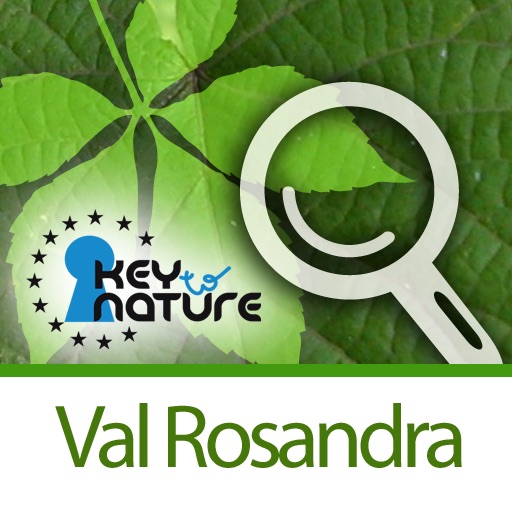 La Val Rosandra - Escursioni Botaniche nel Carso Triestino