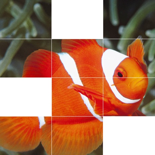 Beautiful Fishes Puzzle Free iOS App