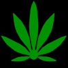 Medical Marijuana Log Deluxe