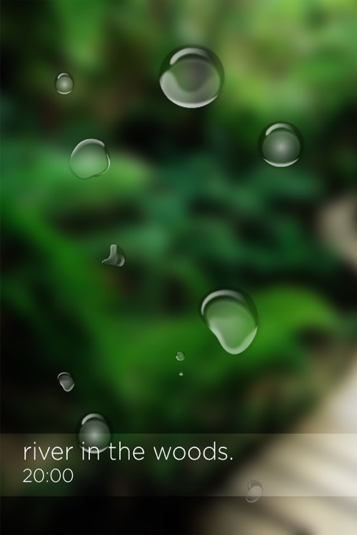 Aquatic Ambiences