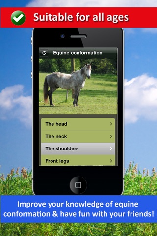 Equine Conformation - Horsemanship Lessons for Equestrians screenshot 3