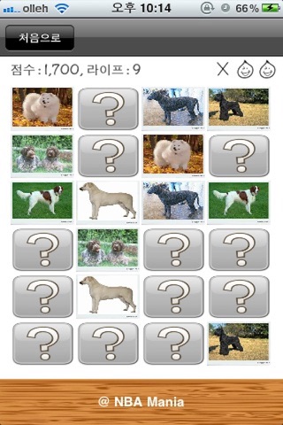 Doggy - Dogs Quiz & Puzzle screenshot 4