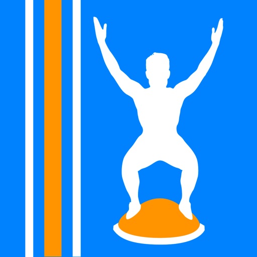 Virtual Trainer Bosu Ball