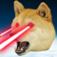 DogeCrush To the MOON PC 용