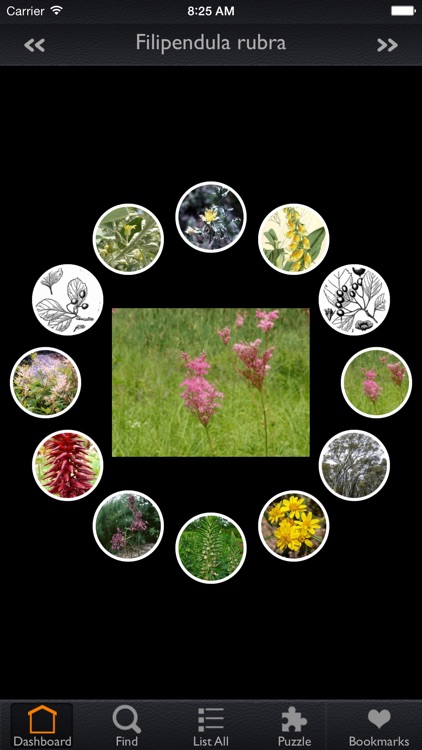 Medicinal Plants Encyclopedia Pro