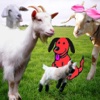 Git Your Goat