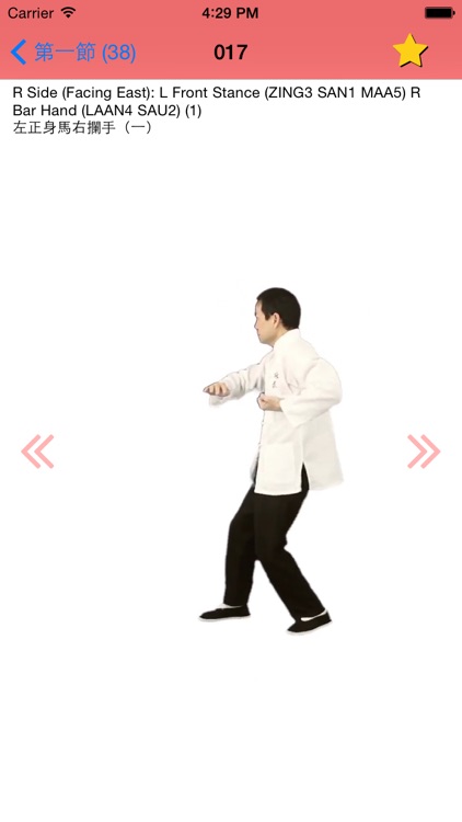 Wing Chun Chum Kiu Form