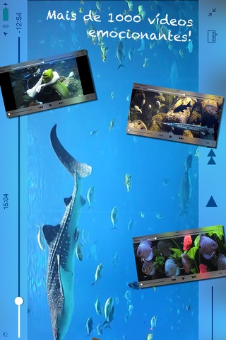 iAquarium screenshot 2