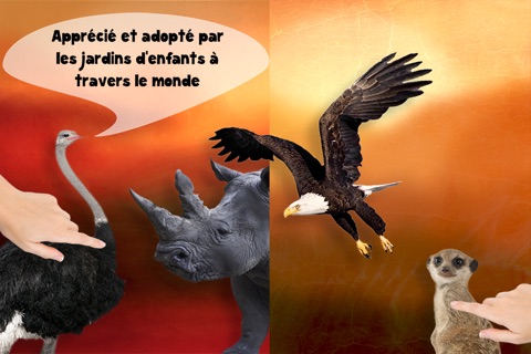 Play with Wildlife Safari Animals Sound game Game photo for toddlers and preschoolers screenshot 3
