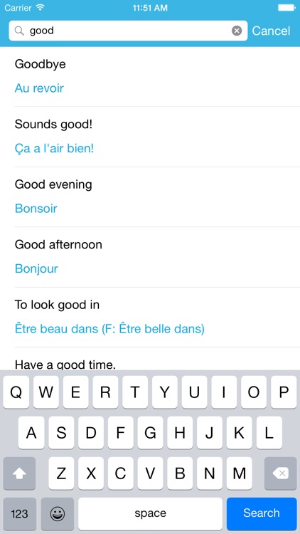 French Phrasebook: Conversational French screenshot-3