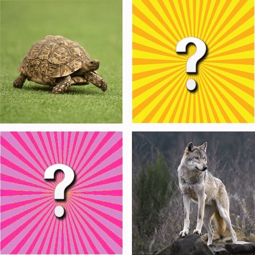 Guess the animal - free