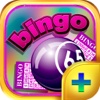 Bingo Lady Blitz PLUS - Free Casino Trainer for Bingo Card Game