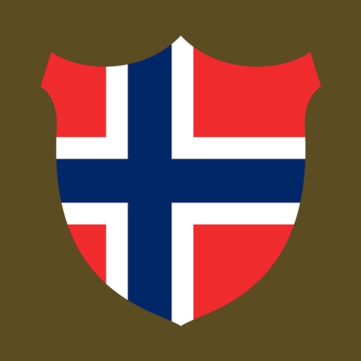 Norwegian Boost basic icon