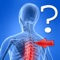Anatomy Spine Quiz