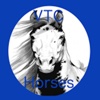 VTC Horses