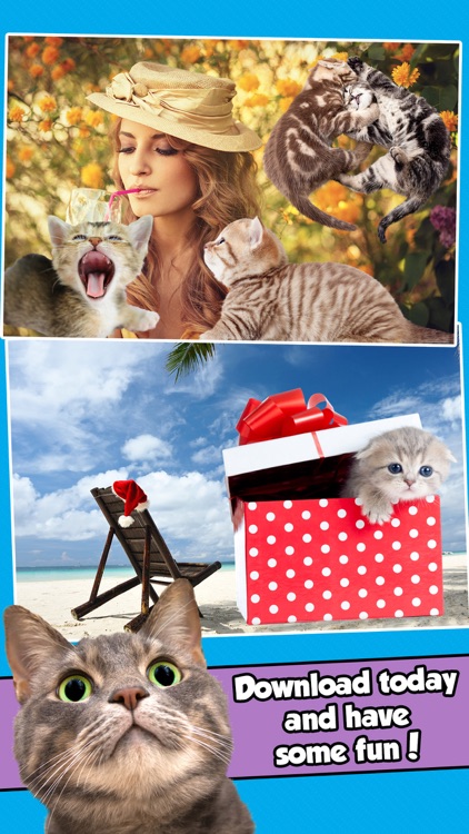 InstaKitty - A Funny Photo Booth Editor with Cute Kittens and Cool Cat Stickers for Your Pictures screenshot-4