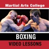 Boxing Lessons - M.A.C. Martial Arts College