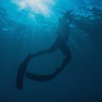 Get Apnea Diver for iOS, iPhone, iPad Aso Report