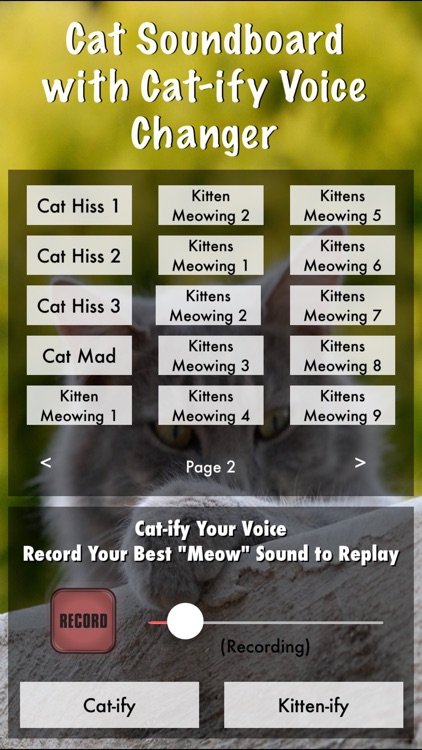 Cat Soundboard with Cat-ify Voice Changer (Includes Kitten Meows and Purring)