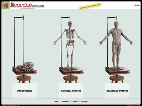 Écorché assistant screenshot 2