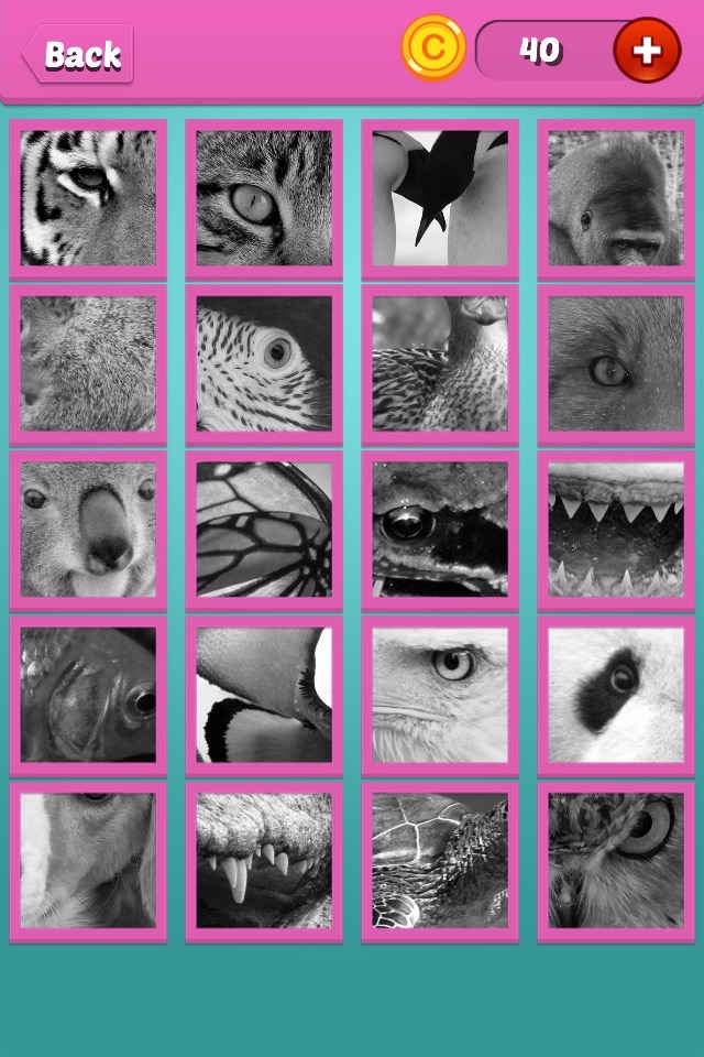 Quiz Pic: Animals screenshot 3
