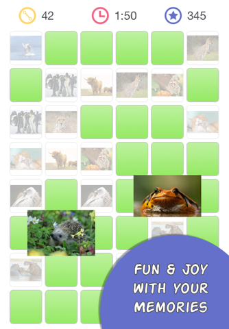 Zwoople - The concentration game with your photos screenshot 4